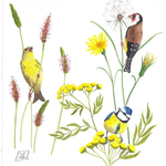 Blumensamen für Vögel auf dem Land