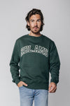 Sweater "RBL.AMS Cord" I dark green